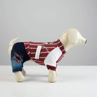 Комбинезон, еврозима на меховом подкладе, XS (ОШ 18-22, ОГ 27-32, ДС 20 см), красный - фото 2019793