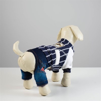 Комбинезон для собак, еврозима на меховом подкладе, XS (ОШ 18-22, ОГ 27-32, ДС 20 см), синий   43337 - фото 2019806