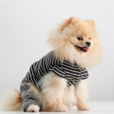 Комбинезон демисезонный на меховом подкладе, XS (ОШ 18-22, ОГ 27-32, ДС 20 см), чёрный - фото 2019827