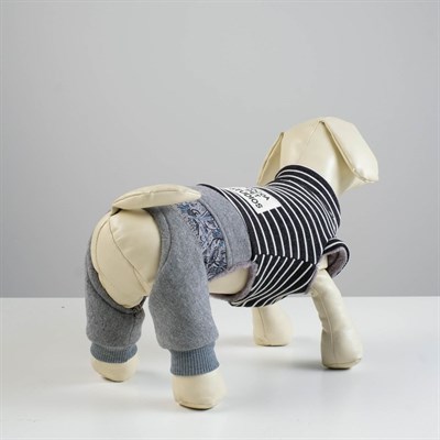 Комбинезон демисезонный на меховом подкладе, XS (ОШ 18-22, ОГ 27-32, ДС 20 см), чёрный - фото 2019831