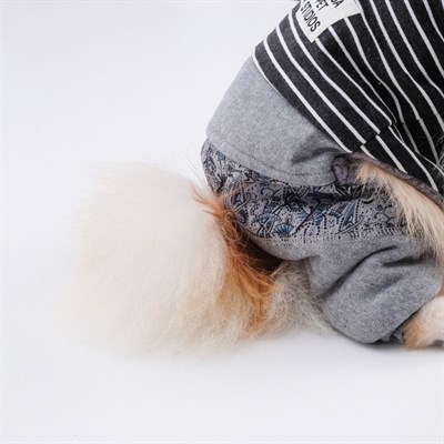 Комбинезон демисезонный на меховом подкладе, XS (ОШ 18-22, ОГ 27-32, ДС 20 см), чёрный - фото 2019836