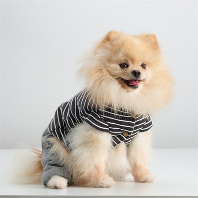 Комбинезон демисезонный на меховом подкладе, L (ОШ 29-34, ОГ 41-47, ДС 31 см), чёрный - фото 2019868