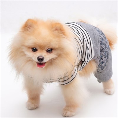 Комбинезон демисезонный на меховом подкладе, S (ОШ 21-25, ОГ 29-36, ДС 23 см), белый - фото 2019892