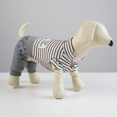 Комбинезон демисезонный на меховом подкладе, S (ОШ 21-25, ОГ 29-36, ДС 23 см), белый - фото 2019893