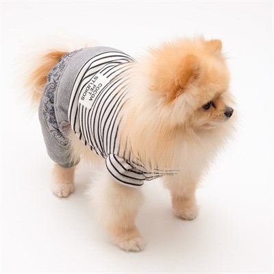 Комбинезон демисезонный на меховом подкладе, XXL (ОШ 34-38, ОГ 52-59, ДС 40 см), белый - фото 2019942