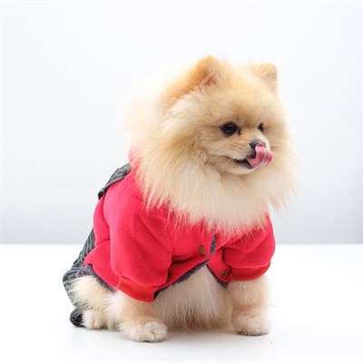 Комбинезон, еврозима на меховом подкладе, XL (ОШ 32-35, ОГ 46-53, ДС 35 см), красно-черный - фото 2019962