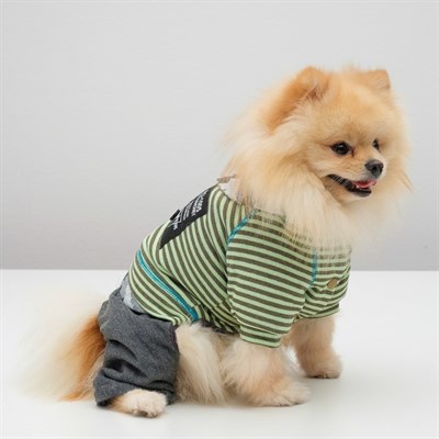 Комбинезон, еврозима на меховом подкладе, S (ОШ 21-25, ОГ 29-36, ДС 23см), зелёный - фото 2019975