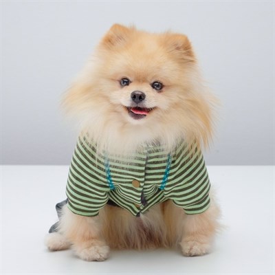 Комбинезон, еврозима на меховом подкладе, XXL (ОШ 34-38,ОГ 52-59,ДС 40см), зелёный - фото 2020020