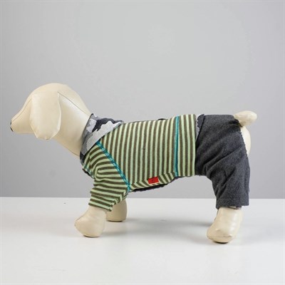 Комбинезон, еврозима на меховом подкладе, XXL (ОШ 34-38,ОГ 52-59,ДС 40см), зелёный - фото 2020025