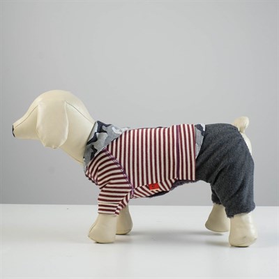 Комбинезон, еврозима на меховом подкладе, M (ОШ 26-30, ОГ 36-40, ДС 28 см), красный - фото 2020037