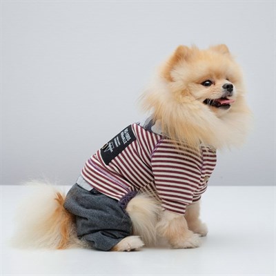 Комбинезон, еврозима на меховом подкладе, XL (ОШ 32-35, ОГ 46-53, ДС 35 см), красный - фото 2020039