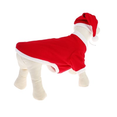 Костюм для собак Новогодний колпак + кофточка, XS (ДС 16-18 см, ОШ 24 см, ОГ 27-30 см) - фото 2020240
