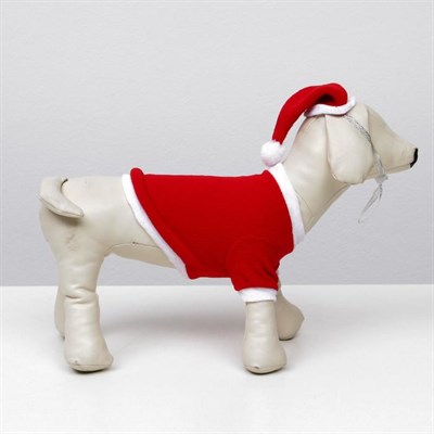 Костюм для собак Новогодний колпак + кофточка, S (ДС 19-21 см, ОШ 26 см, ОГ 32-34 см) - фото 2020245