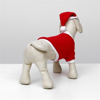 Костюм для собак Новогодний колпак + кофточка, S (ДС 19-21 см, ОШ 26 см, ОГ 32-34 см) - фото 2020246