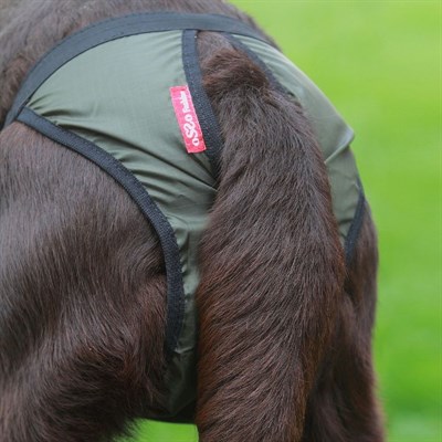 Трусы для собак OSSO, размер XS (талия 21-40 см, глубина 23 см), полиэстер - фото 2020270