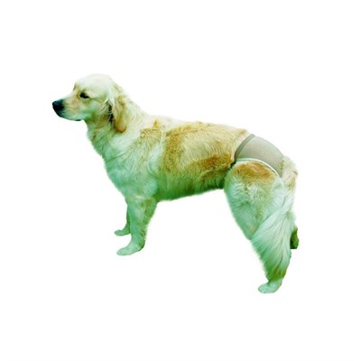 Штанишки Trixie «Люкс», размер 3, 40-49 см, х/б, бежевые - фото 2020356