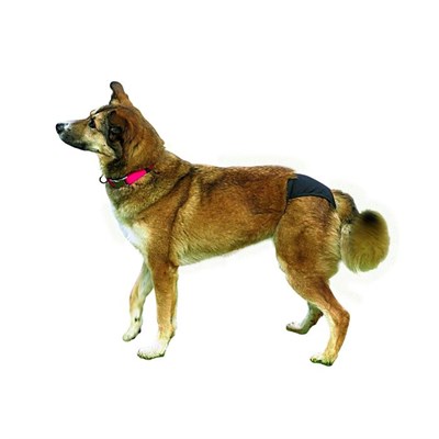 Штанишки Trixie «Люкс», размер 5, 60-70 см, х/б, чёрные - фото 2020369