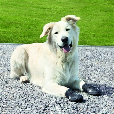 Ботинки Trixie Walker Active, XL, 2 шт., черный - фото 2020452