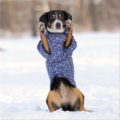 Жилет утепленный OSSO, 40 (ДС 40, ОГ 56-64 см, ОШ 41см), микс - фото 2020735