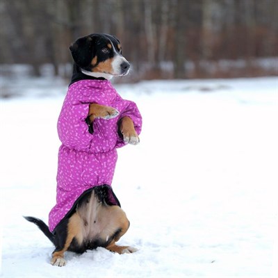 Жилет утепленный OSSO, 65 (ДС 65, ОГ 86-96 см, ОШ 65 см), микс - фото 2020787