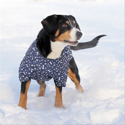 Жилет утепленный OSSO, 65 (ДС 65, ОГ 86-96 см, ОШ 65 см), микс - фото 2020788