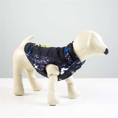 Куртка зимняя, XS (ОШ 18-22, ОГ 27-32, ДС 20 см), синяя - фото 2020822