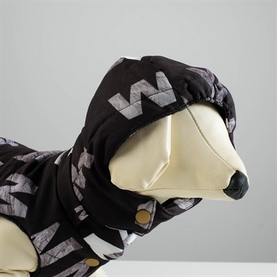 Куртка зимняя, XS (ОШ 18-22, ОГ 27-32, ДС 20 см), чёрная - фото 2020831