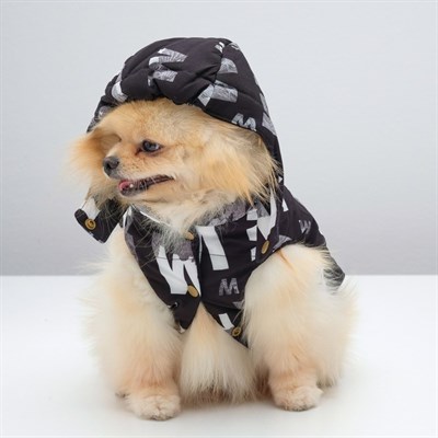 Куртка зимняя, S (ОШ 21-25, ОГ 29-36, ДС 23 см), чёрная - фото 2020842