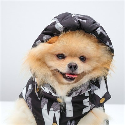 Куртка зимняя, XL (ОШ 32-35, ОГ 46-53, ДС 35 см), чёрная - фото 2020880