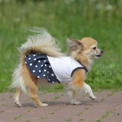 Платье OSSO для собак «Маленькая кокетка», размер 20, микс цветов - фото 2020907