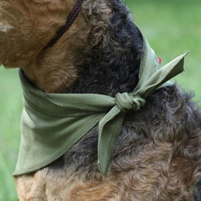 Косынка охлаждающая OSSO, S (60 х 18 см) - фото 2021205