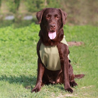 Охлаждающая попона для собак OSSO, 80 (ДС 80 см, ОШ до 100 см) - фото 2021230