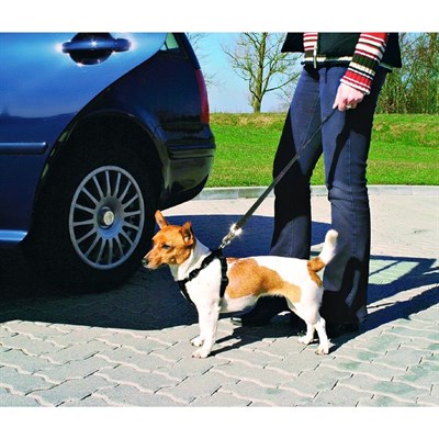 Автомобильный ремень безопасности со шлейкой Trixie для собак, 20-50 см - фото 2022211