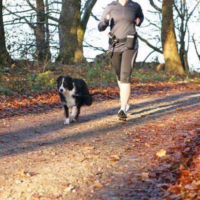 Ремень поясной Trixie с поводком, до 40 кг, черный - фото 2022286