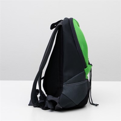 Рюкзак для переноски животных с креплением на талию, 31 х 15 х 39 см, зеленый - фото 2022737