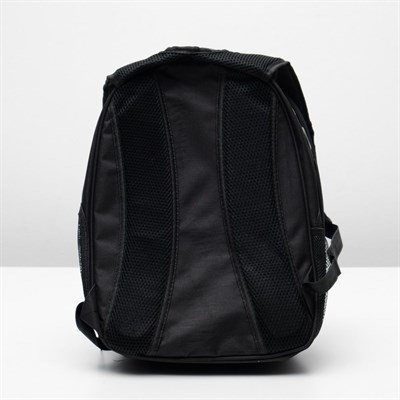 Рюкзак-переноска 30 х 24 х 42 см, пластик, голубой - фото 2023001