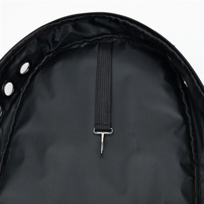 Рюкзак-переноска 30 х 24 х 42 см, пластик, голубой - фото 2023007