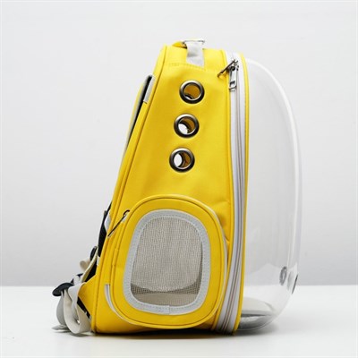 Рюкзак-переноска с прозрачной вставкой, 30 х 24 х 42 см, пластик, микс цветов - фото 2023026