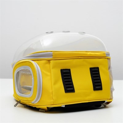 Рюкзак-переноска с прозрачной вставкой, 30 х 24 х 42 см, пластик, микс цветов - фото 2023029