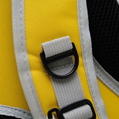 Рюкзак-переноска с прозрачной вставкой, 30 х 24 х 42 см, пластик, микс цветов - фото 2023034