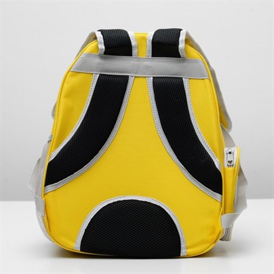 Рюкзак-переноска с прозрачной вставкой, 30 х 24 х 42 см, пластик, микс цветов - фото 2023035