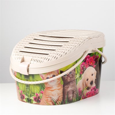 Переноска "Феликс" для животных, пластик, 45 x 37,5 x 41 см - фото 2023468