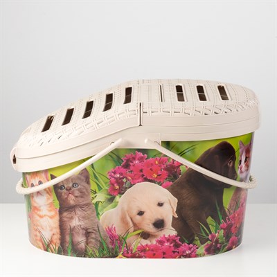 Переноска "Феликс" для животных, пластик, 45 x 37,5 x 41 см - фото 2023469