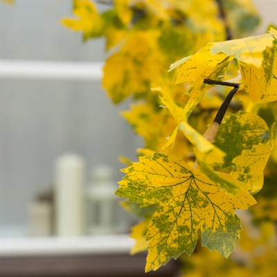 Дерево светодиодное улич. 1,8 м. "Клён Осенний" 384 Led, 23 W, 220V Желтый - фото 2029097