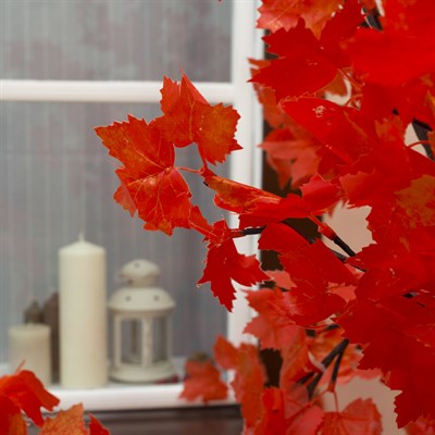 Дерево светодиодное улич. 1,8 м. "Клён Канадский" 384 Led, 23 W, 220V Красный - фото 2029221