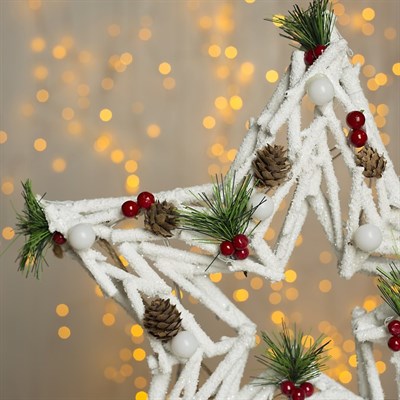 Фигура дерев "Звезда из белых веток" 40х6х40 см (3xAA не в компл.) 10 LED, ТЕПЛО-БЕЛЫЙ - фото 2031533