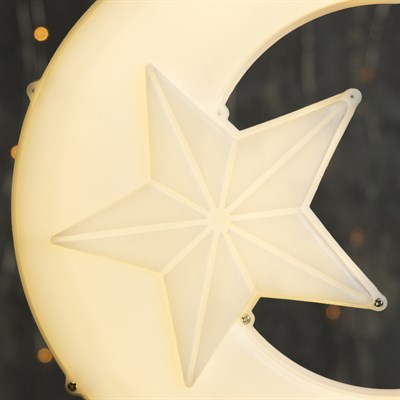 Фигура уличная "Месяц белый", 23х17х5 см, пластик, 220В, 3 метра провод, фиксинг, Т-БЕЛЫЙ - фото 2032264