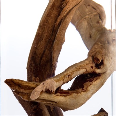 Светильник Selva, 5Вт LED, хром - фото 2036368