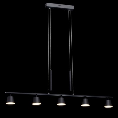 Люстра подвес "Гэлэкси" 5x6,5W LED черный 110x8,3x150см - фото 2036537