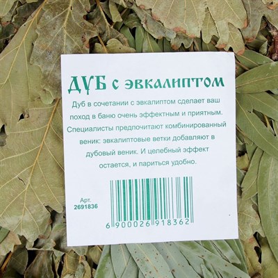 Веник для бани ЭКСТРА из кавказского дуба с эвкалиптом - фото 2065480
